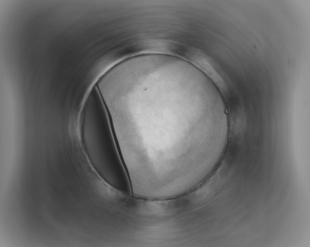 X0000111360908200907311010