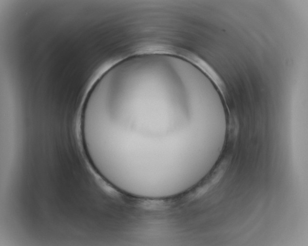 X0000111360909200907311010