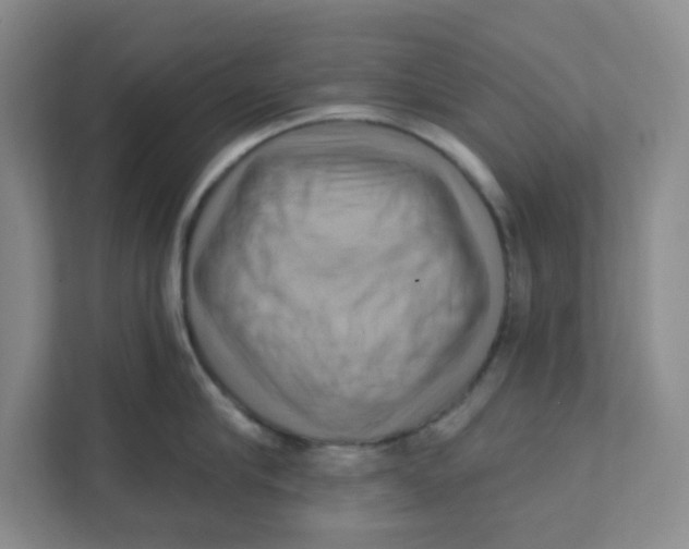 X0000111360910200907311010