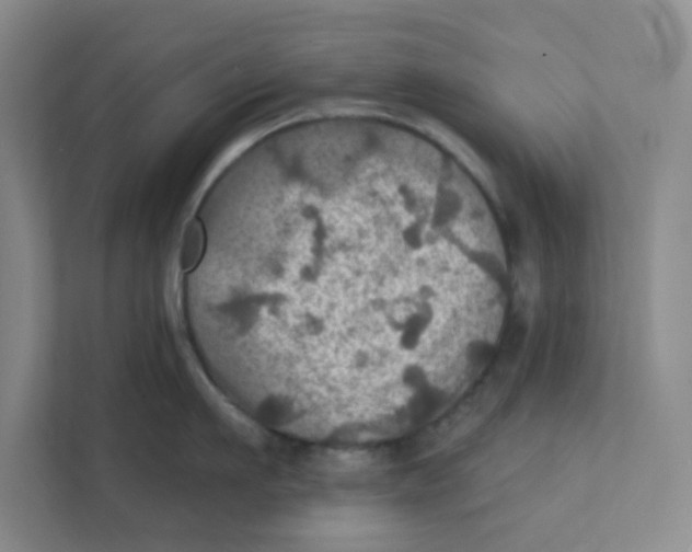 X0000111360911200907311010