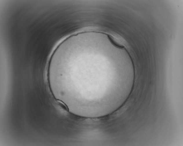 X0000111360912200907311010