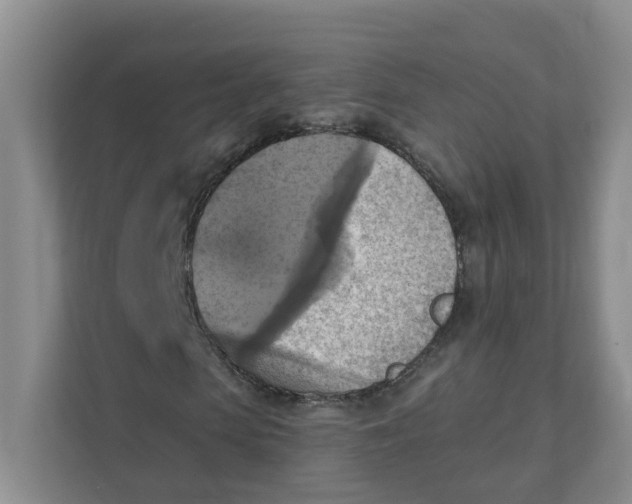 X0000111360913200907311009