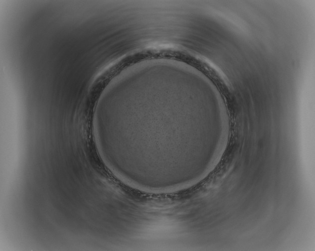 X0000111360919200907311010