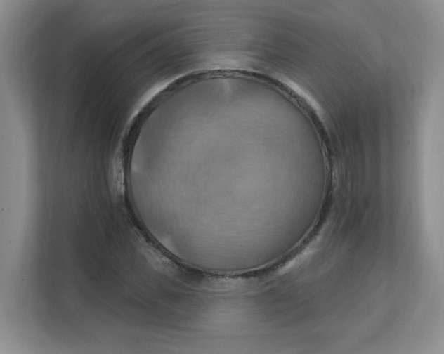 X0000111360925200907311010