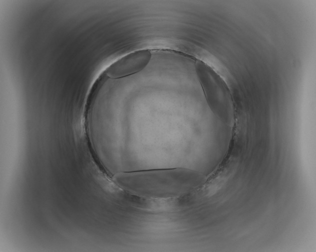 X0000111360928200907311010