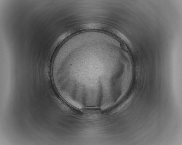 X0000111360930200907311010