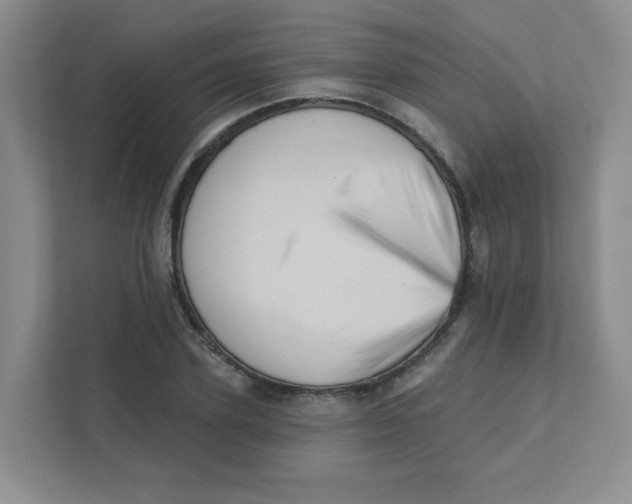 X0000111360931200907311010