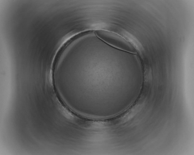 X0000111360932200907311010