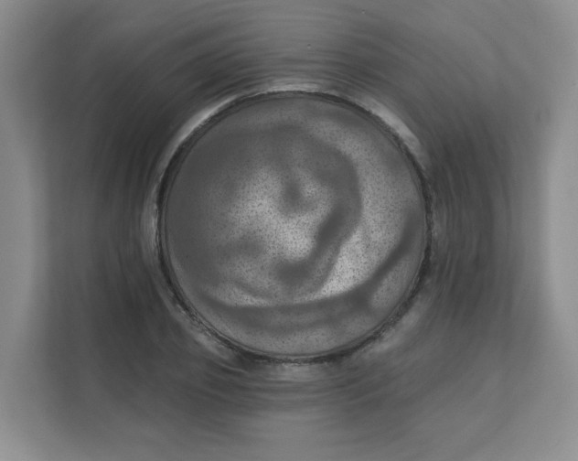 X0000111360933200907311010