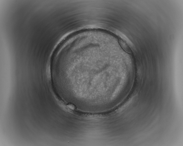 X0000111360934200907311010