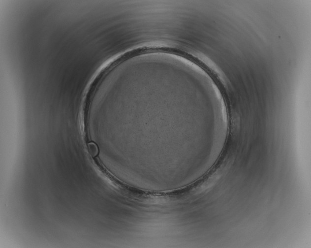 X0000111360935200907311010