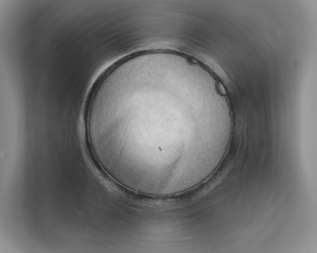 X0000111360936200907311010