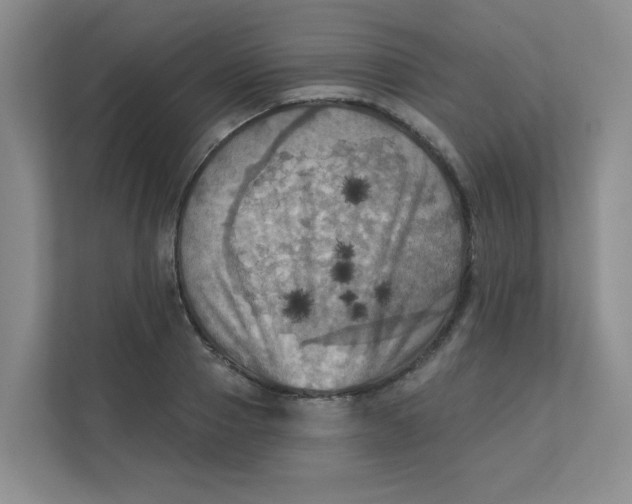 X0000111360937200907311010