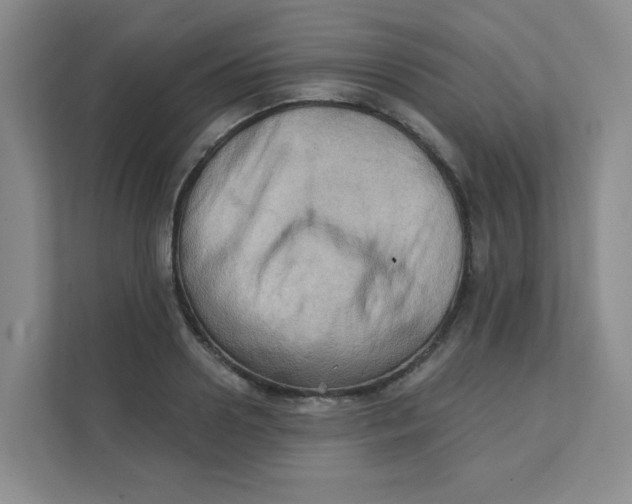 X0000111360938200907311010