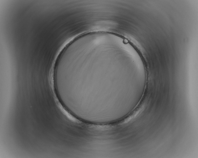 X0000111360941200907311010