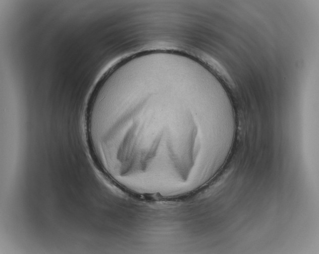 X0000111360942200907311010