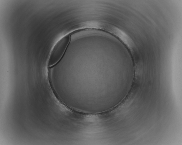 X0000111360944200907311010