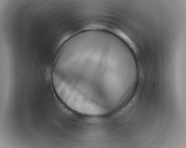 X0000111360945200907311010