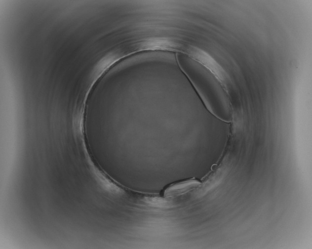 X0000111360946200907311010