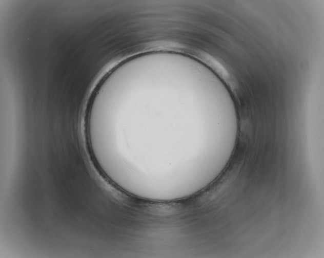 X0000111360947200907311010