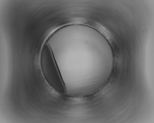 X0000111360948200907311010