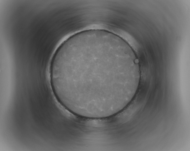 X0000111360950200907311010