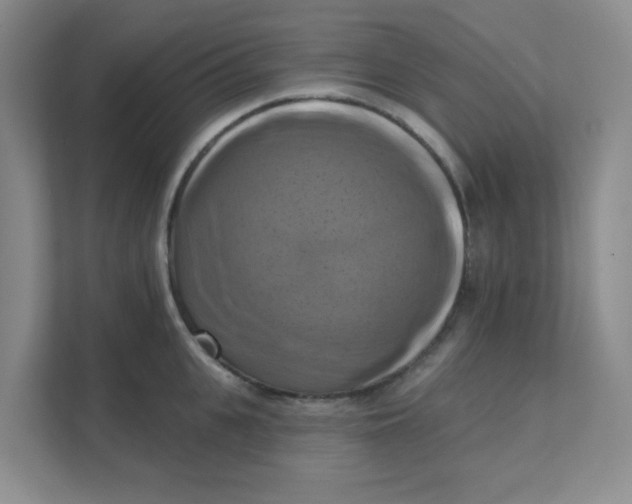 X0000111360951200907311010