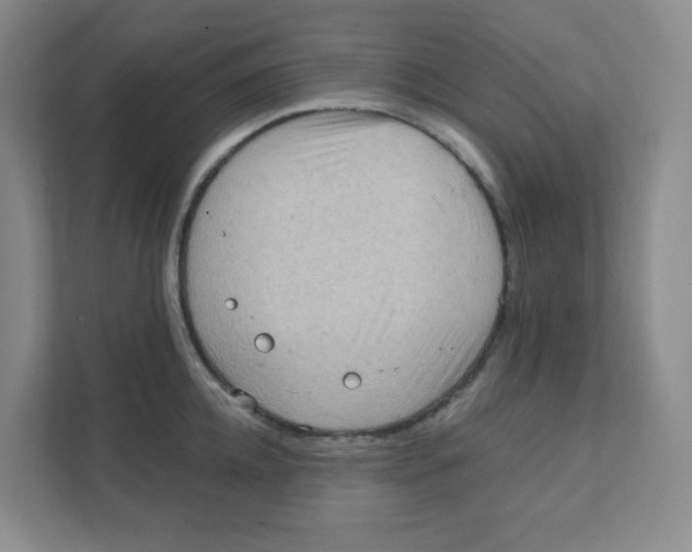 X0000111360952200907311010