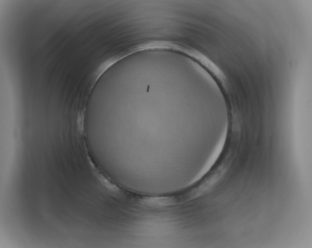 X0000111360953200907311010