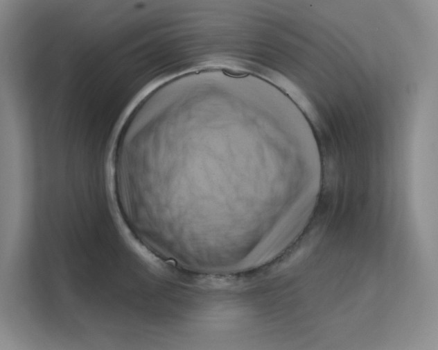 X0000111360955200907311010