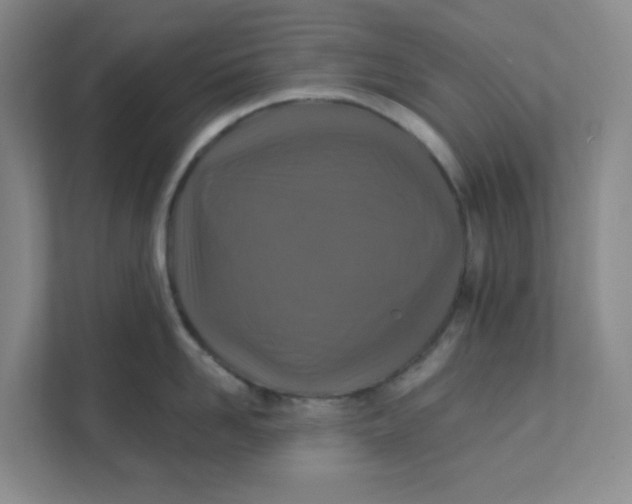 X0000111360958200907311010