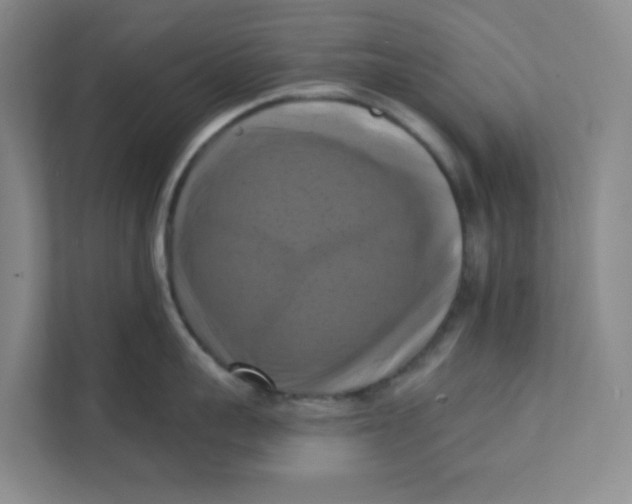 X0000111360959200907311010