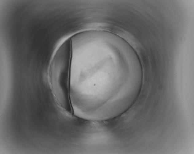 X0000111360960200907311010