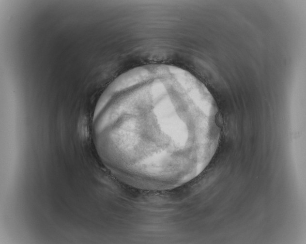 X0000111360962200907311009