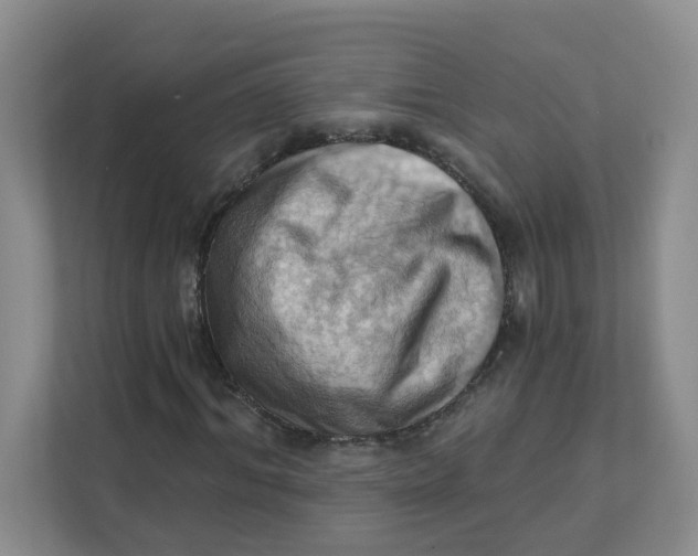 X0000111360964200907311009