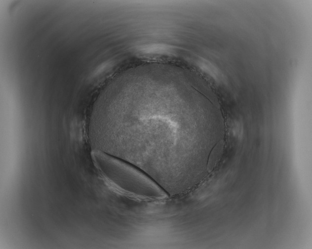 X0000111360965200907311009