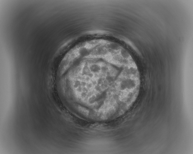 X0000111360967200907311009