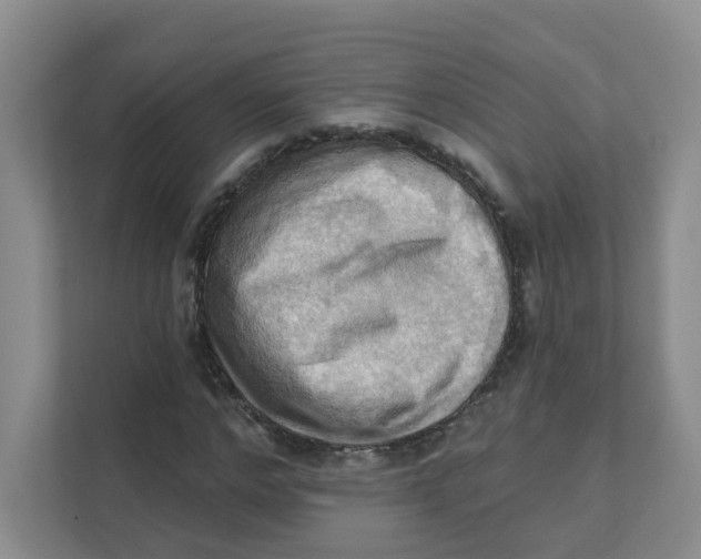 X0000111360968200907311009