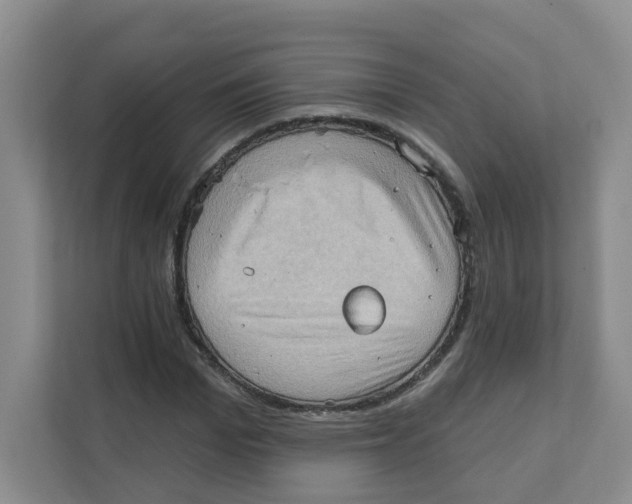 X0000111360969200907311009