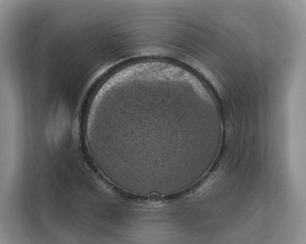 X0000111360975200907311009