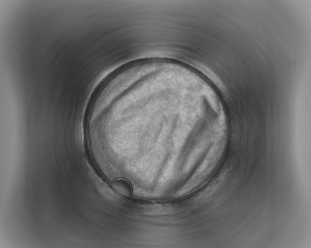 X0000111360980200907311009