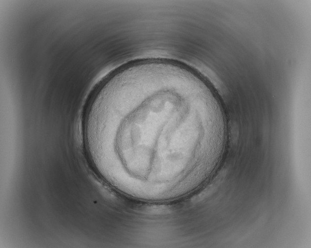 X0000111360982200907311009