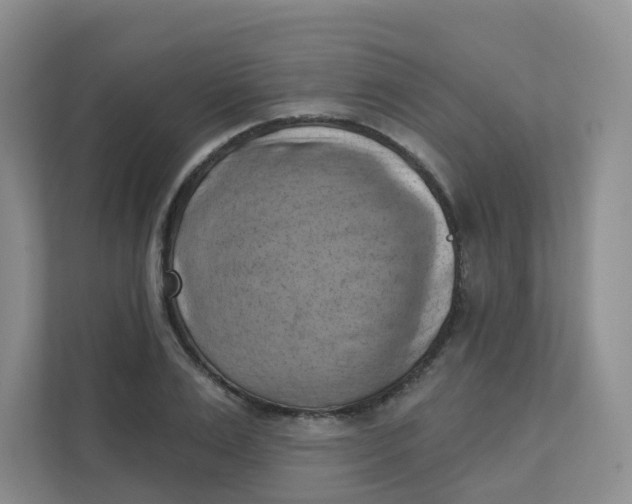 X0000111360983200907311009