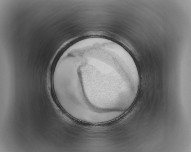 X0000111360984200907311009