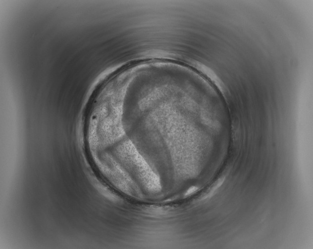 X0000111360987200907311009