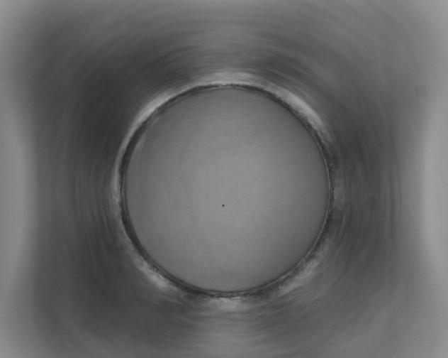 X0000111360990200907311009