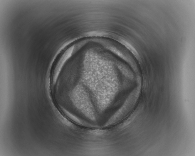 X0000111360992200907311009