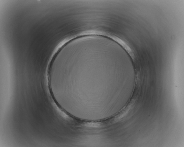 X0000111360998200907311009