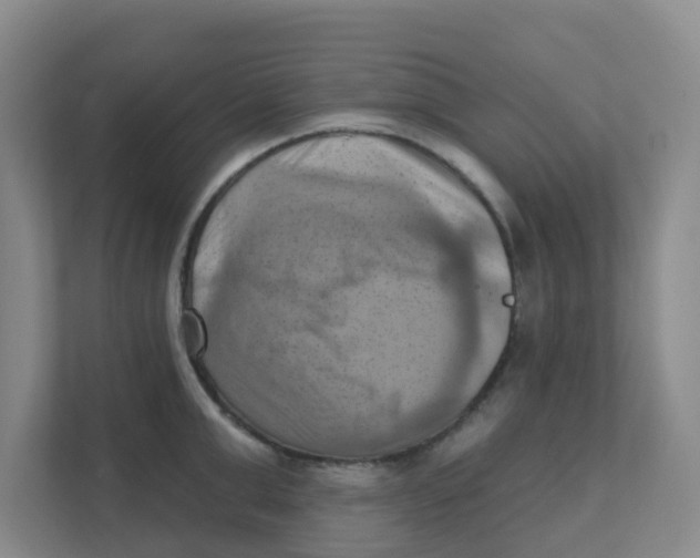 X0000111360999200907311009