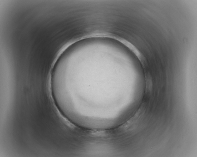 X0000111361006200907311009